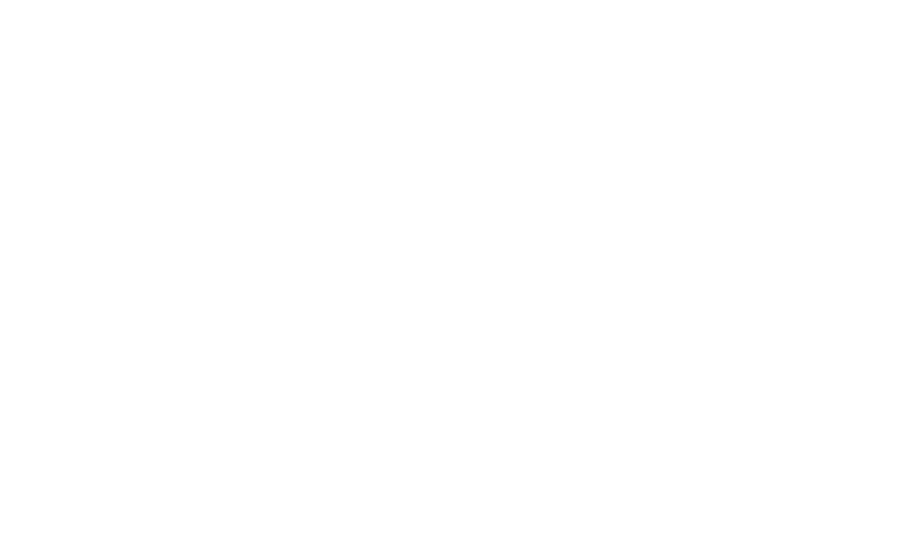 정품